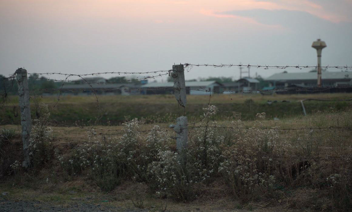 flower field with barbed wire fence.