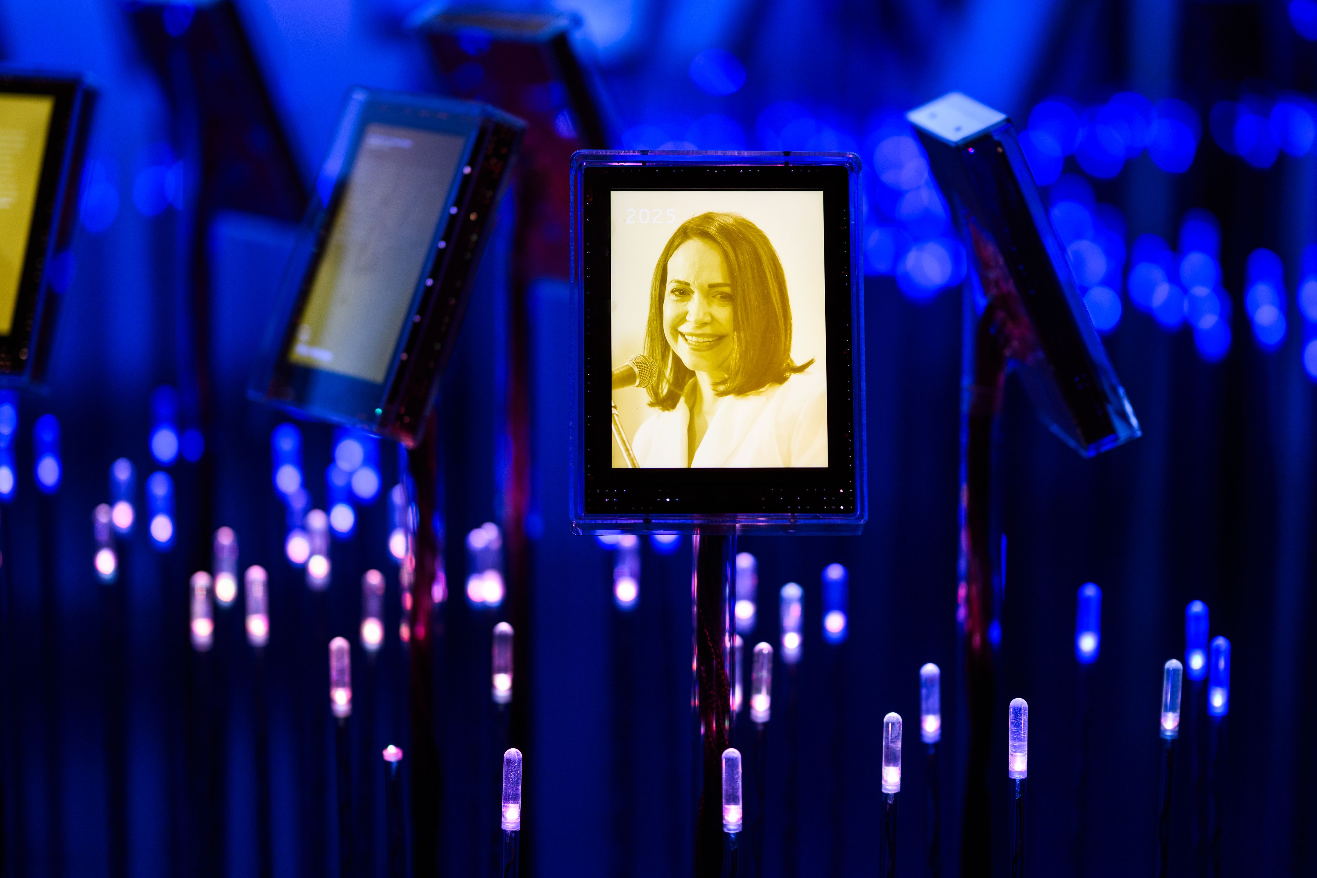 Maria on screen in the exhibition "the nobel field"