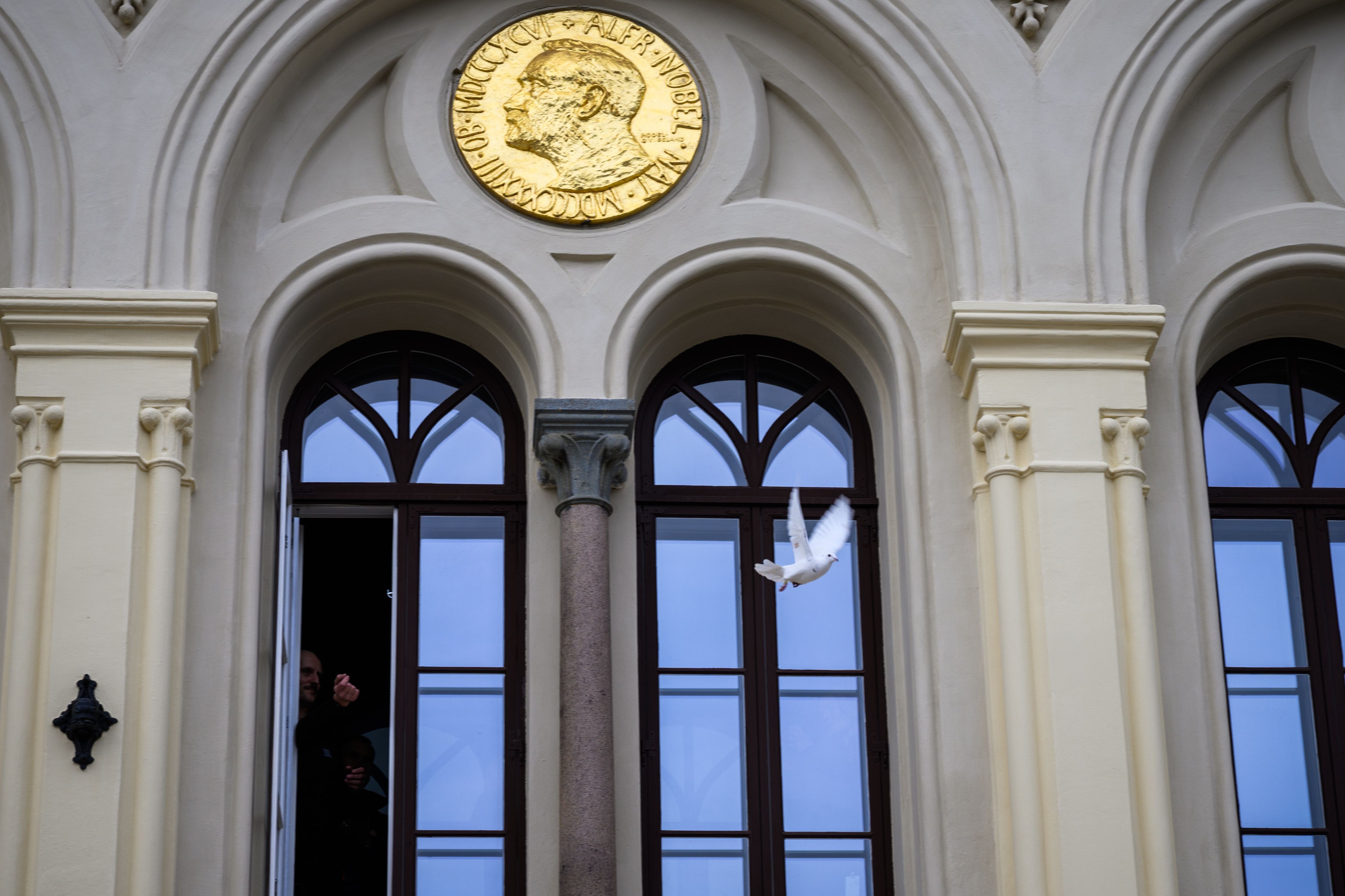 Peace dove flying from the nobel peace centers window.
