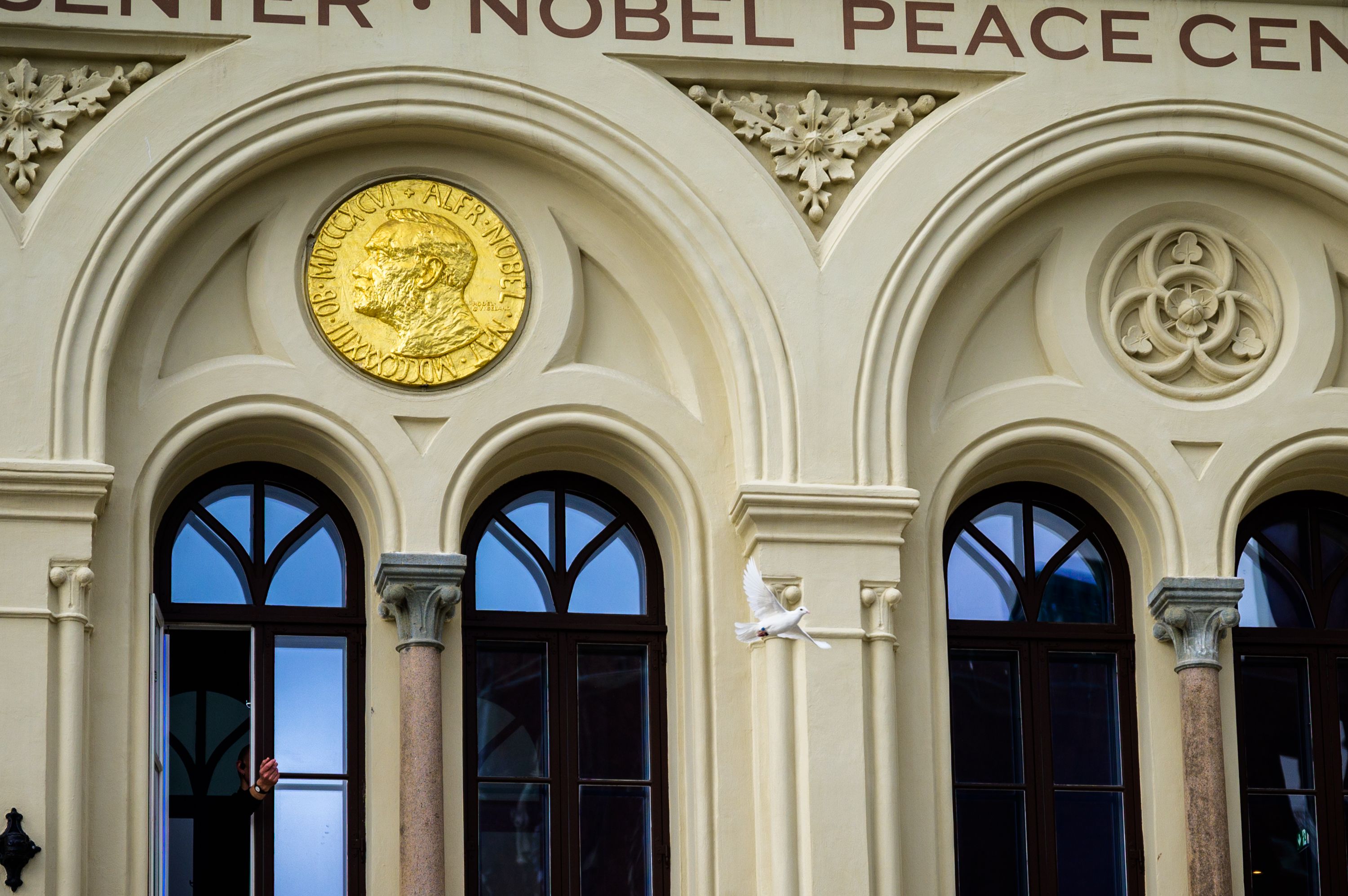Peace dove flying from the Nobel Peace Center 