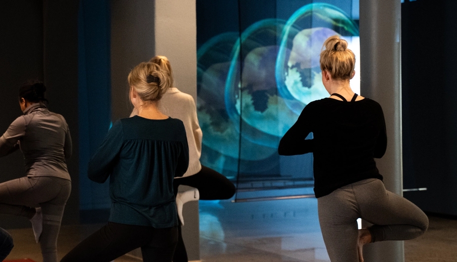 Yoga in an exhibition at the nobel peace center.