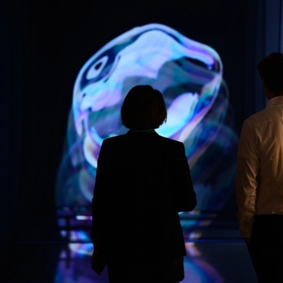 From the exhibition the echo chamber.