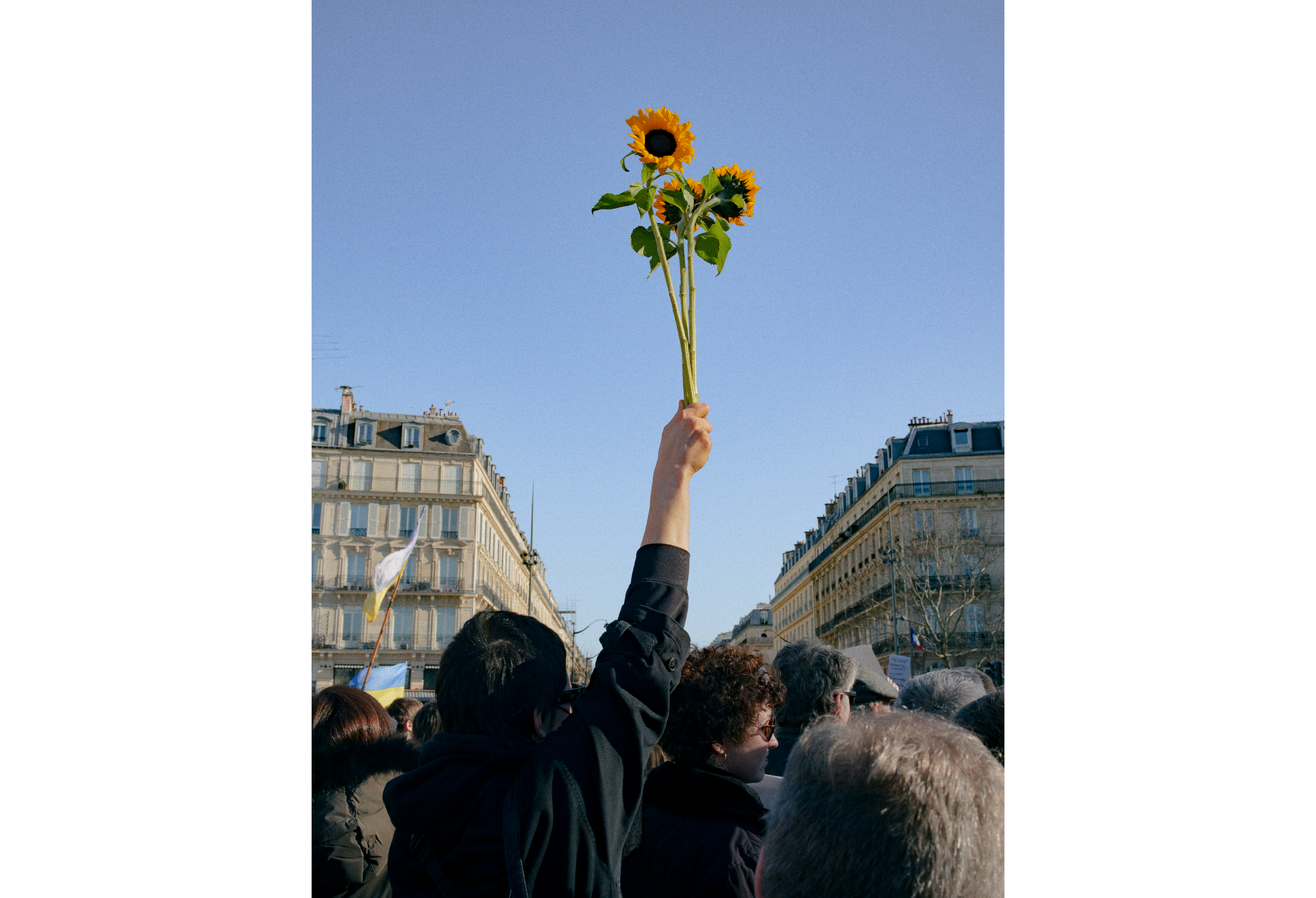 The Nobel Peace Prize Exhibition 2022 | Nobel Peace Center