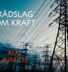 Coverbilde for Real business, rådslag om kraft