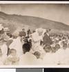 Fridtjof Nansen besøker en sommerleir for foreldreløse gutter i byen Kumajri i Sjirak, Armenia, sommeren 1925.
