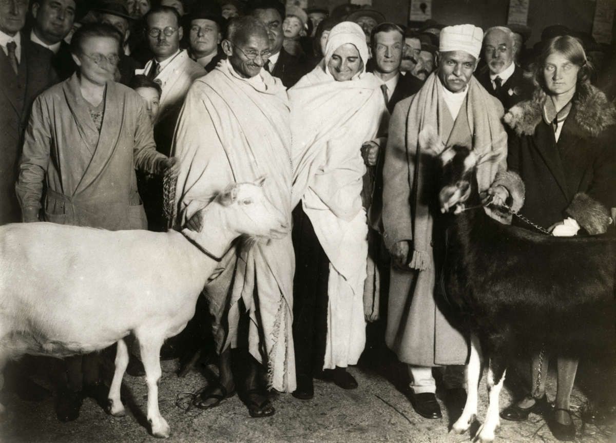 Mahatma Gandhi i Marseilles, Frankrike i 1931, og en folkemengde og geiter rundt. 