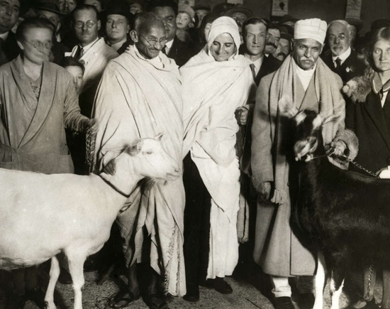Mahatma Gandhi i Marseilles, Frankrike i 1931, og en folkemengde og geiter rundt.