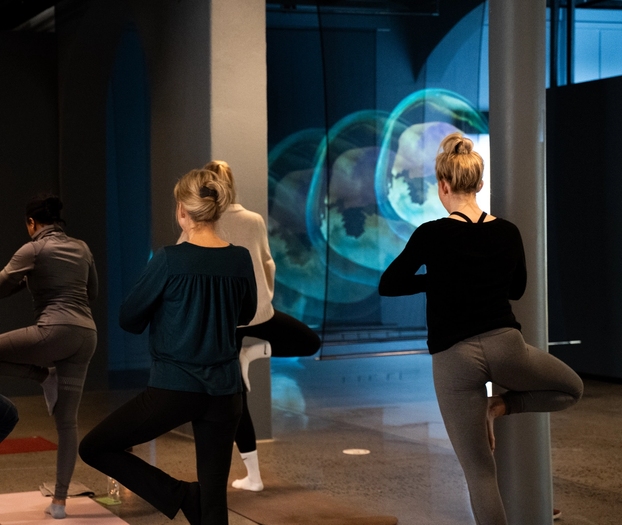 Yoga arrangement inne i en tidligere utstilling-