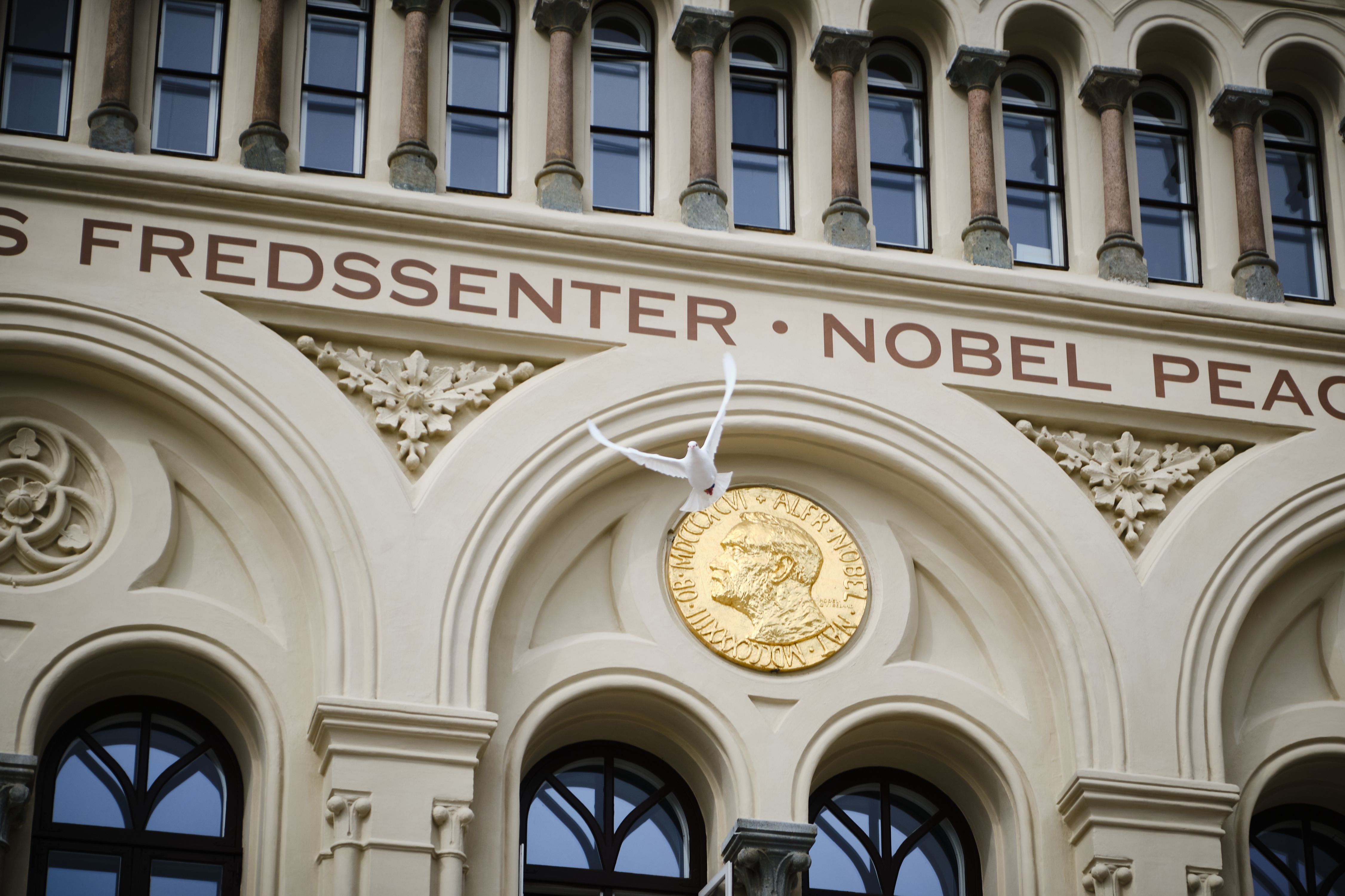 duen som flyr utenfor fredssenteret