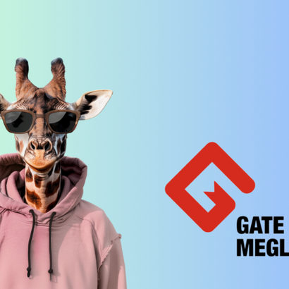 sjiraff med solbriller og hettegenser. og logo for gate megling.