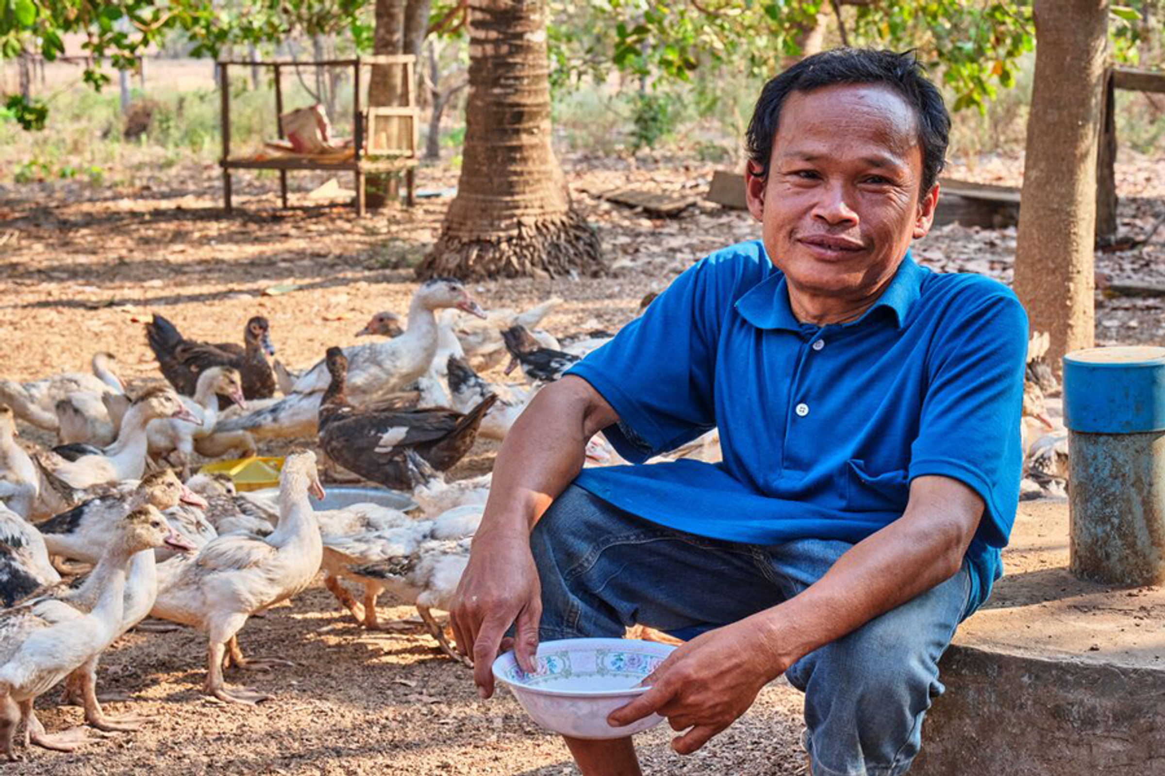 Man in blue shirt looking at camera with ducks in background waiting to be fed