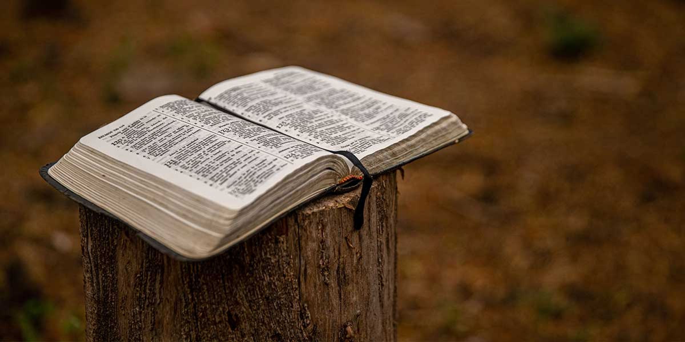 Baptist World Aid