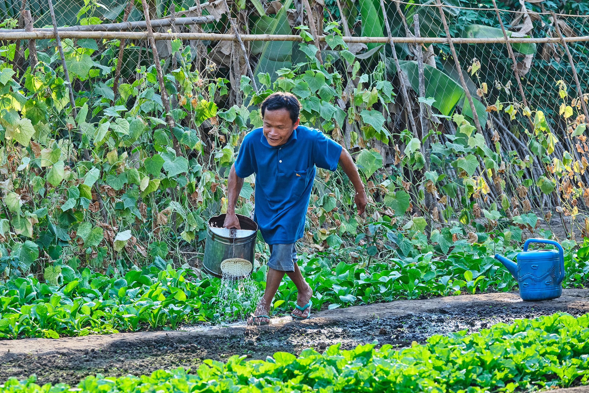 Keo Thavorn watering his vegetable garden