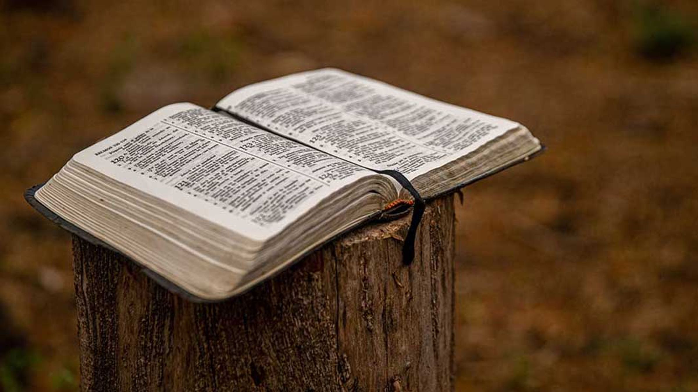 Baptist World Aid