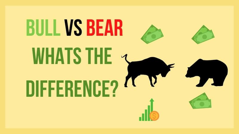 Stock market Bull vs Bear
