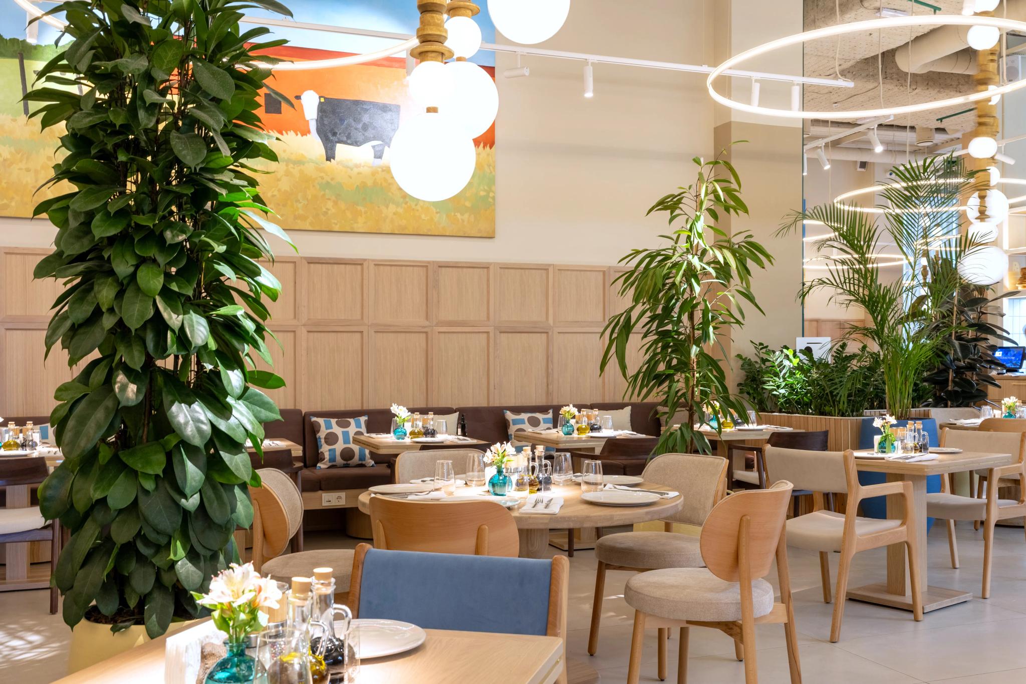Modern restaurant interior of Syrovarnya in Astana with wooden furniture, green plants and contemporary lighting - professional interior photography Kazakhstan