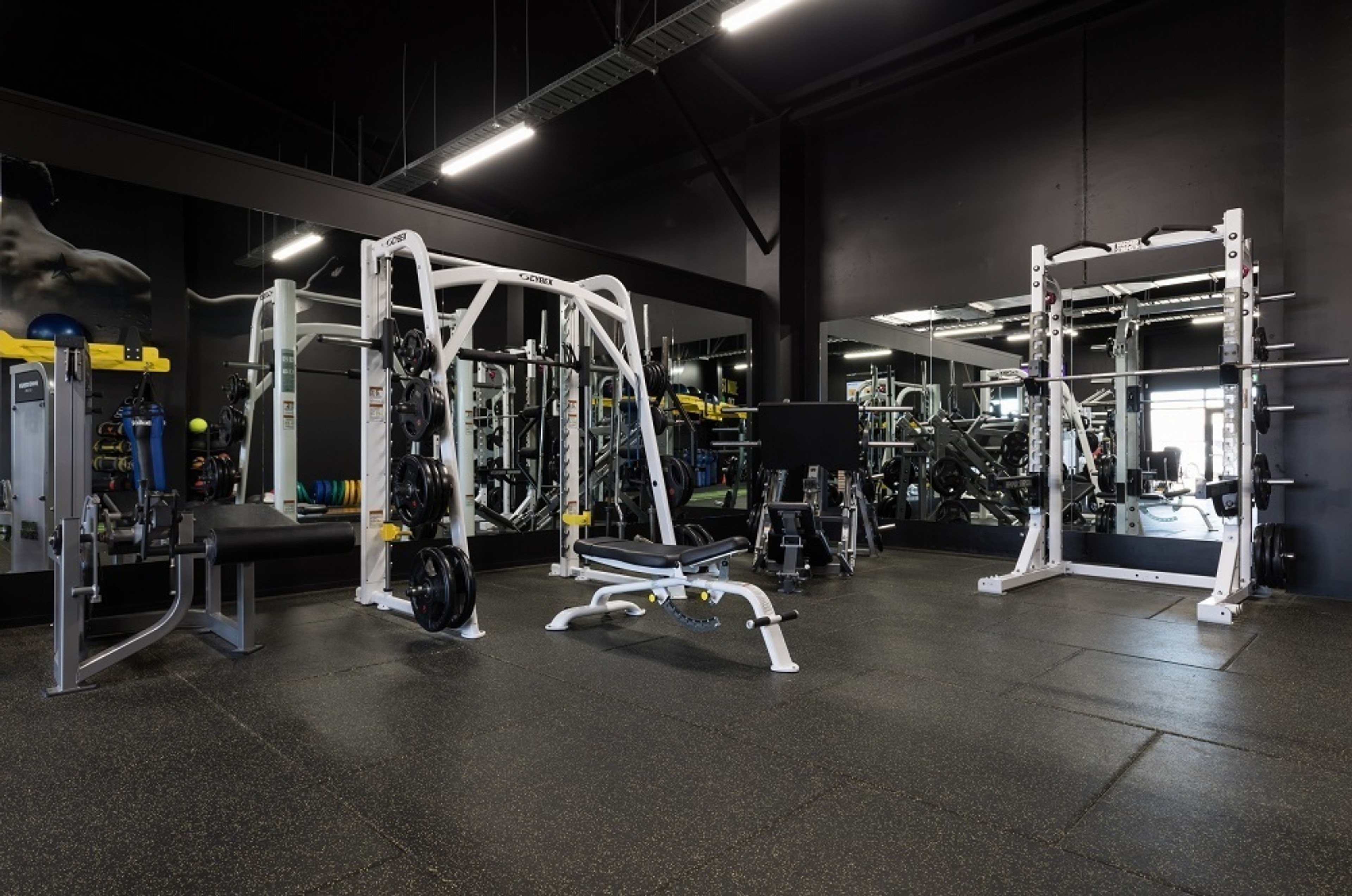 Premium gym tiles 2.jpg