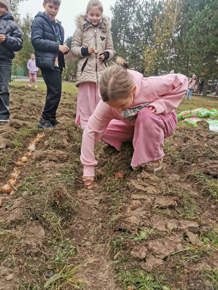 Dzieci sadzące cebulki żonkili