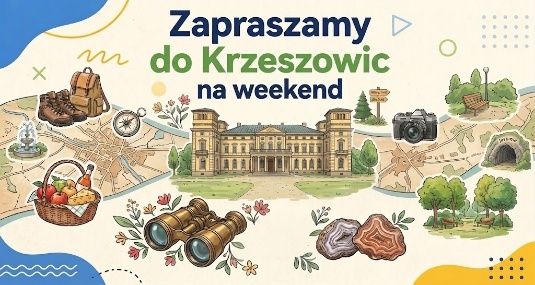 Pałac Potockich, drzewa, kosz piknikowy, lornetka