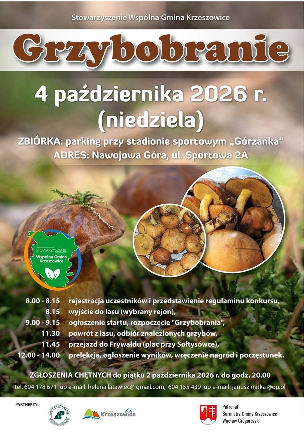 Grzybobranie