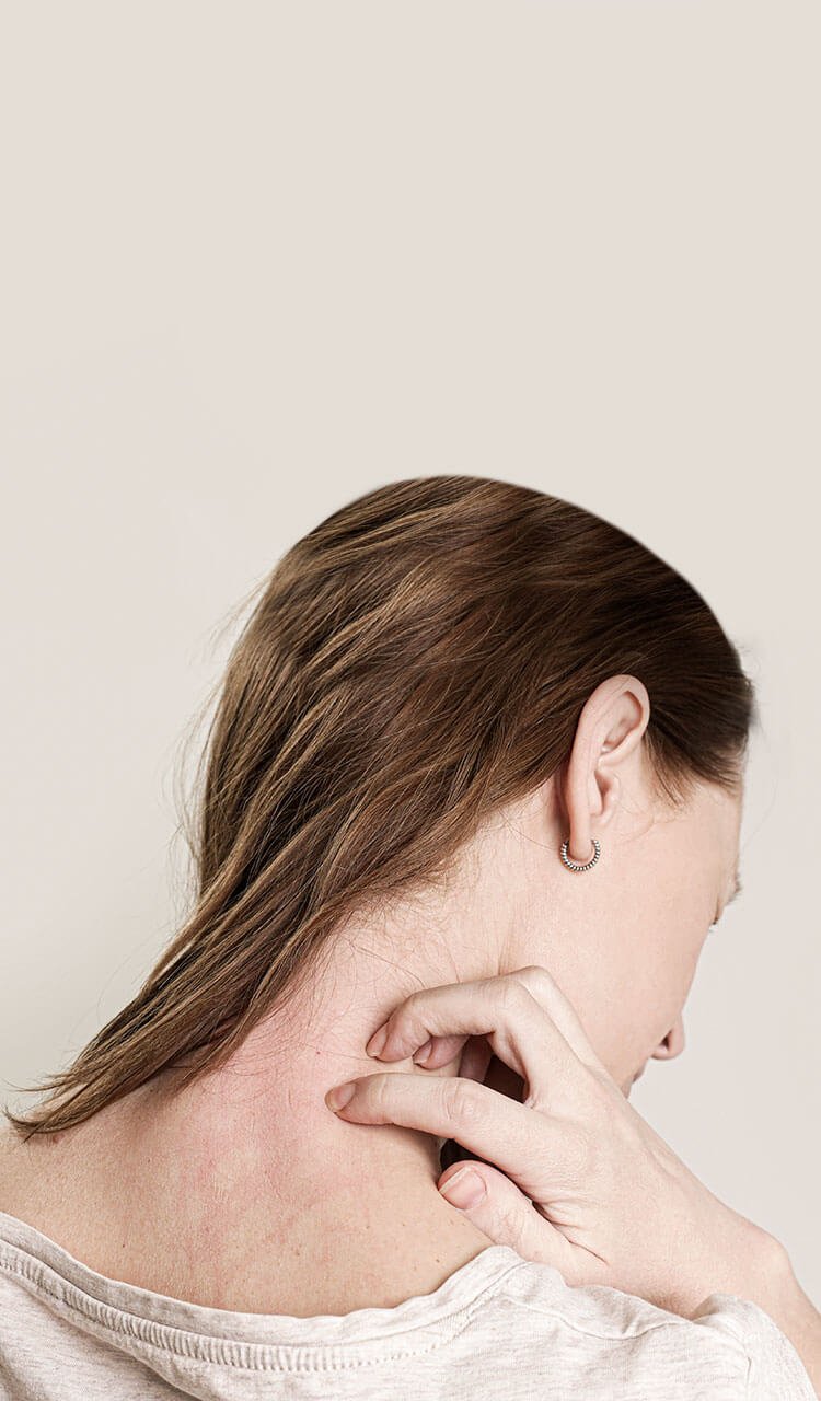 nerve block for shingles pain nerve block for shingles pain