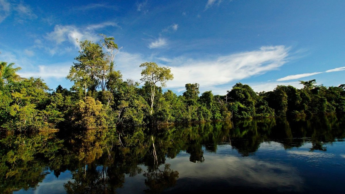 Concurso Prefeitura de Porto Velho — Notícias, Edital e Inscrições