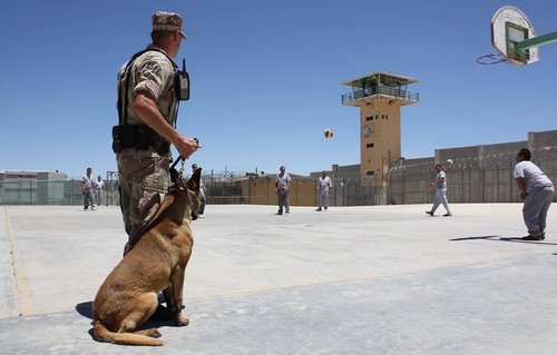 Concurso Polícia Penal RS: 213 vagas e salário de R$ 9.745