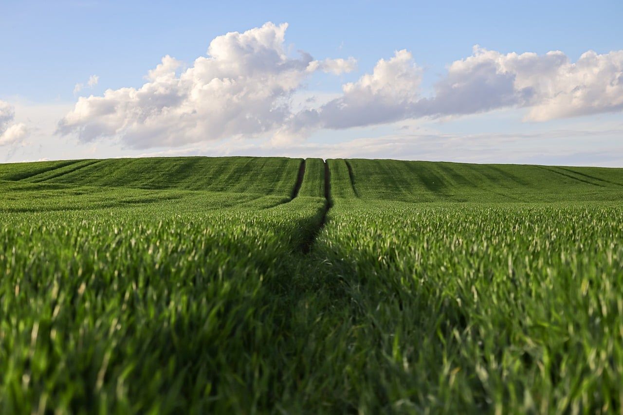 Concurso ADE-AL 2026: 44 vagas de fiscal agropecuário em Alagoas