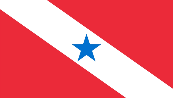 Bandeira do estado de Para — concurso público 2026