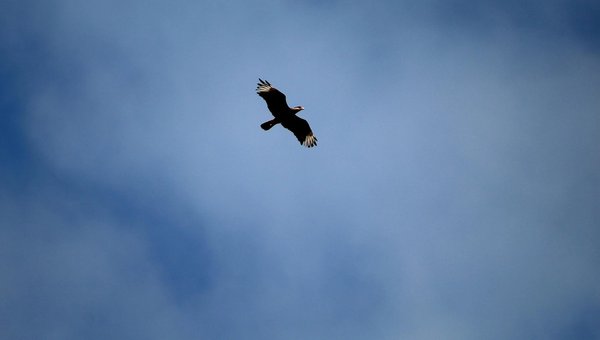 Concurso SAPE/SC: 20 vagas, salário R$ 11.521,24; até 28/08