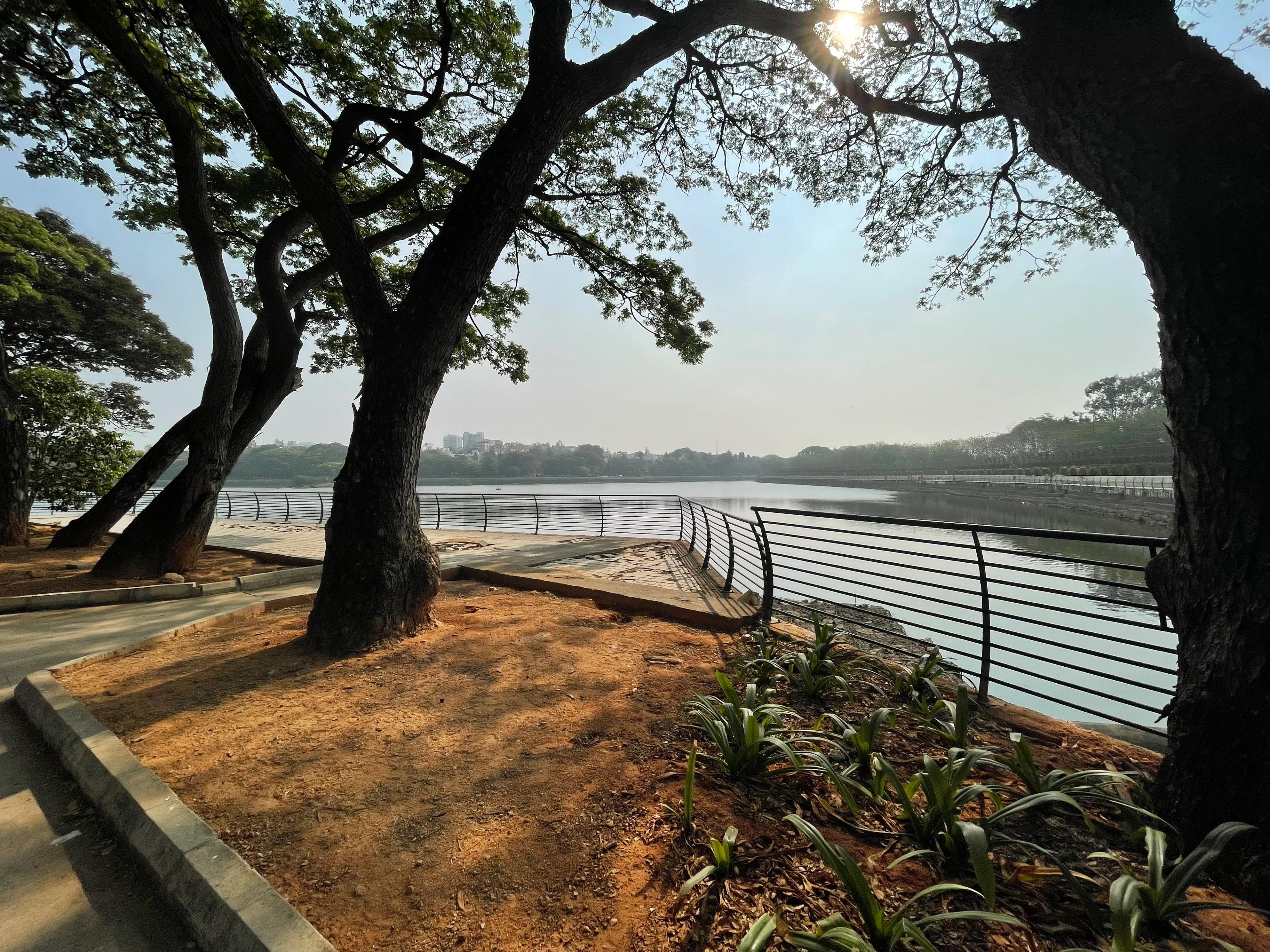Sankey Tank, Bangalore