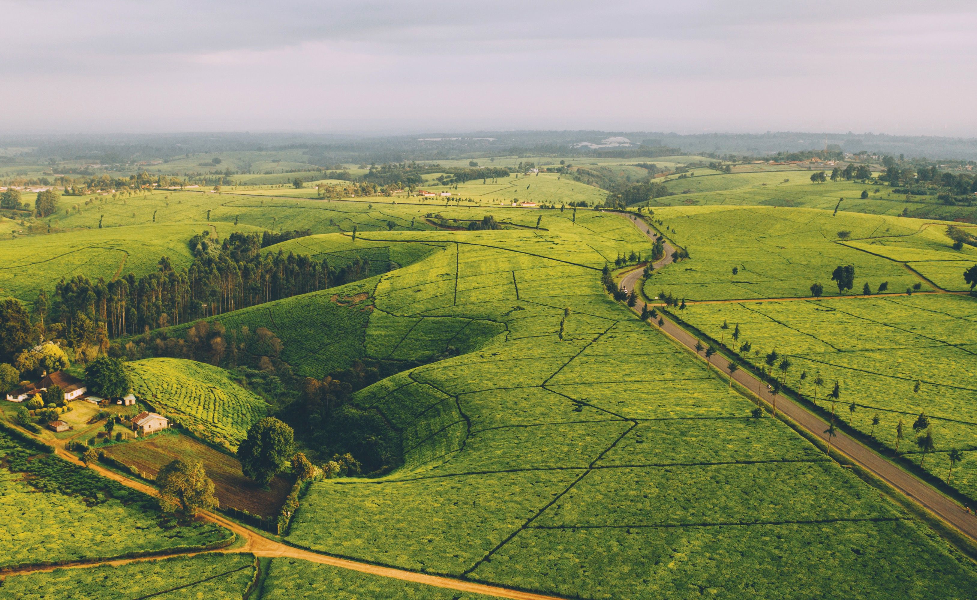 Sprawling green hills with a road dividing them on the right