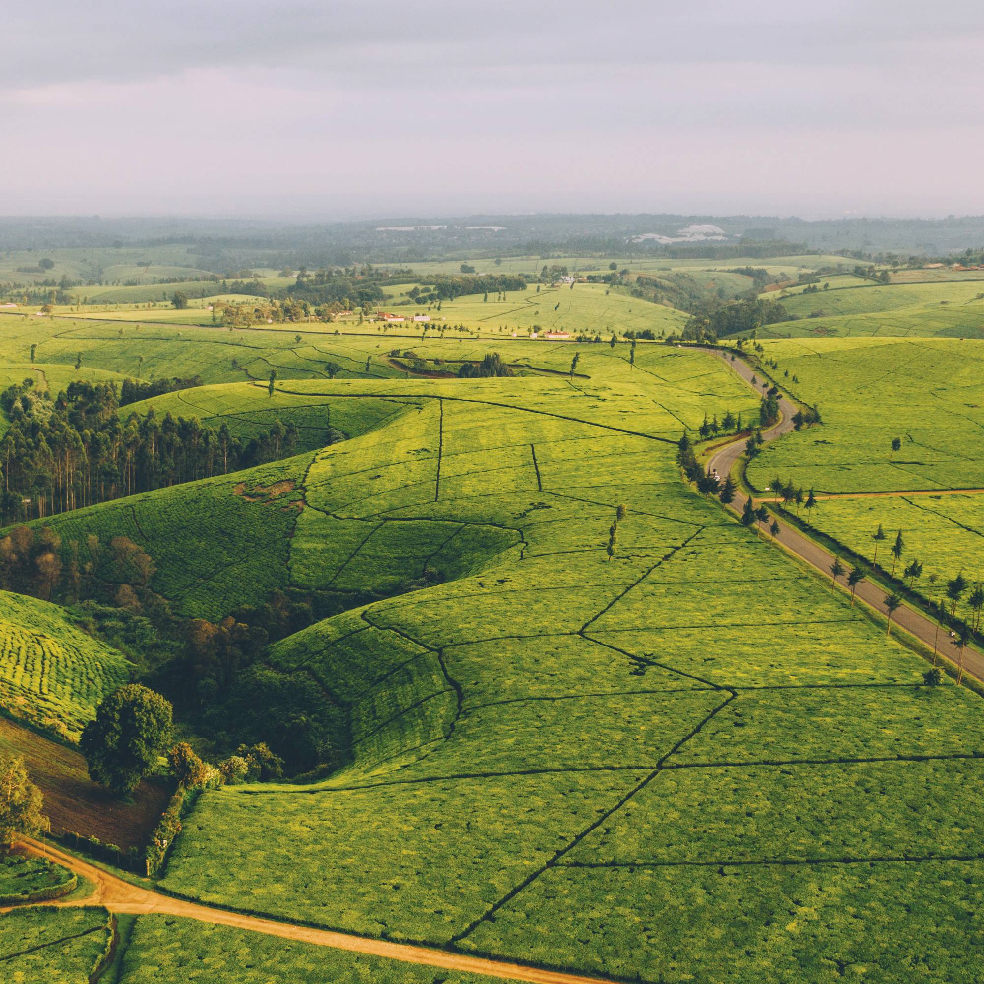 Sprawling green hills with a road dividing them on the right