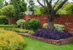 What Are the Trends in Landscape Design 2025?