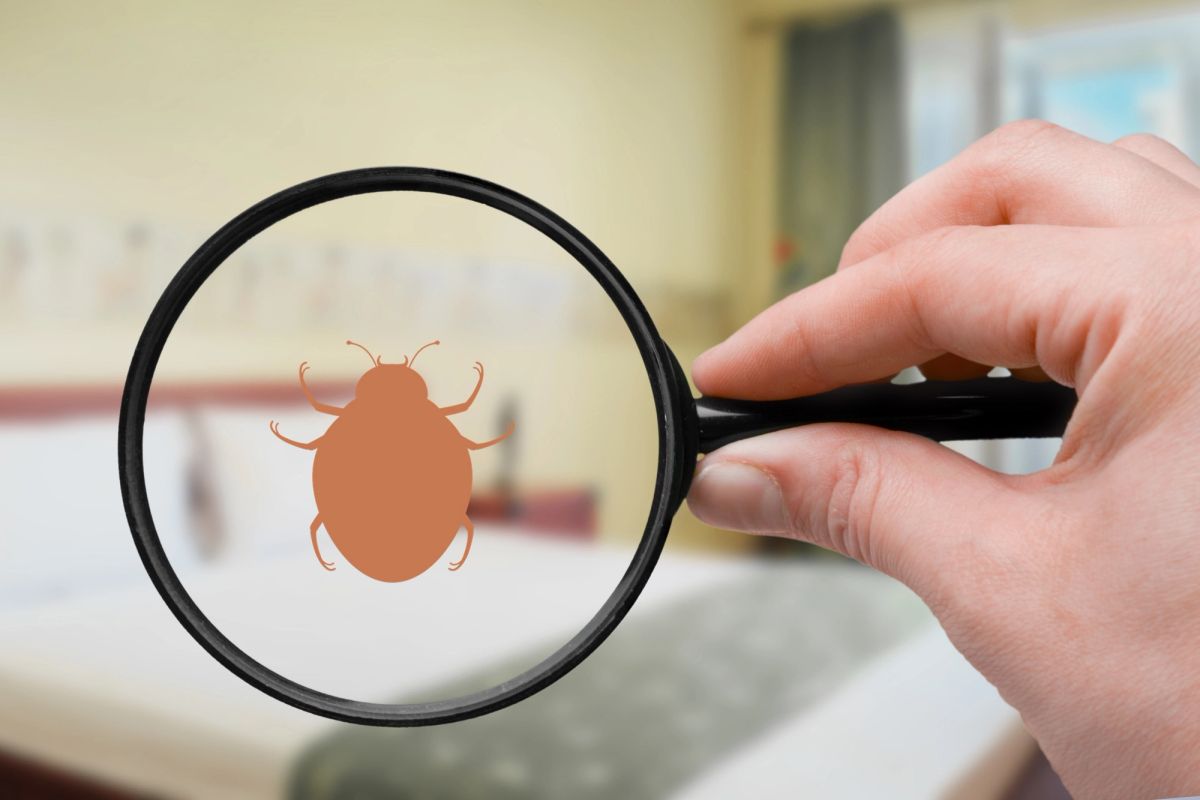 Flea & Tick