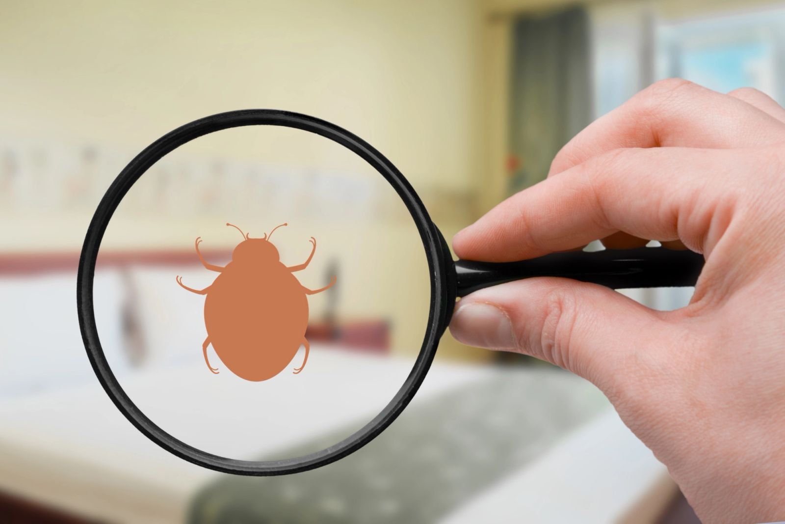 Flea & Tick