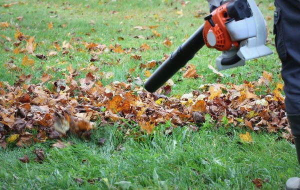 How to Protect Your Lawn from Leaf Damage: The Complete Prairieville Guide