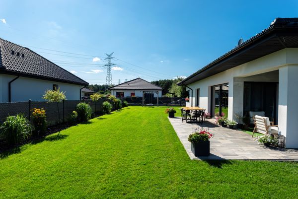 Why Your Neighbor's Lawn Always Looks Better (And How to Beat Them)