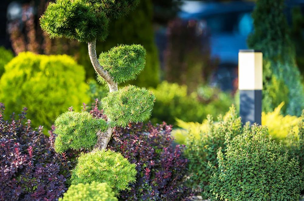 Seasonal Lawn Care: Preparing Your Yard for Louisiana's Weather Extremes
