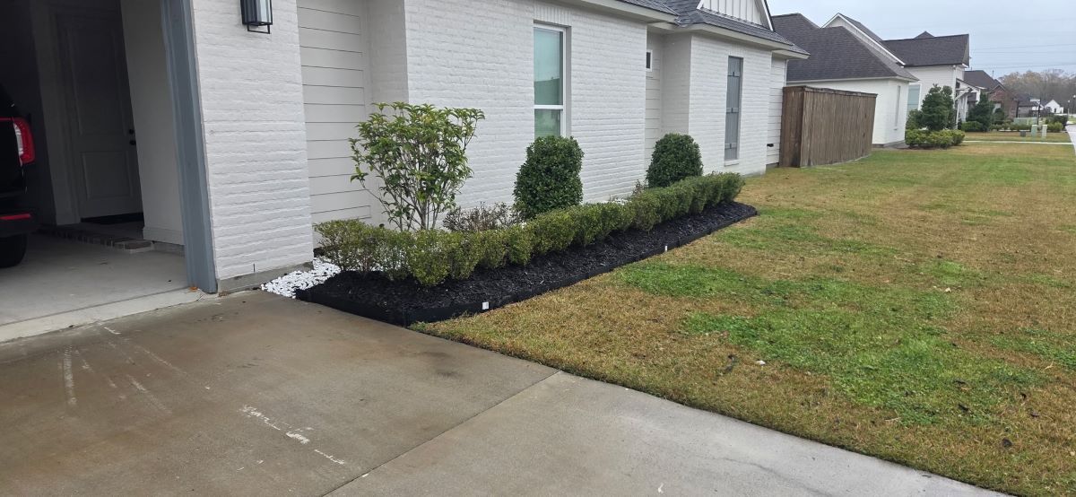 Bush Pruning