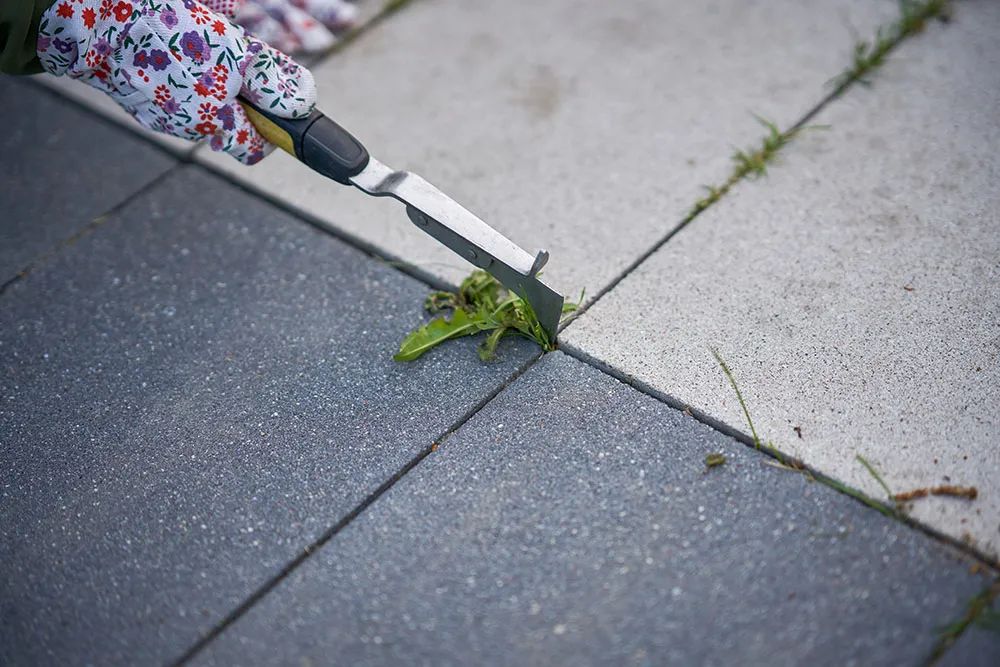Weed Pulling