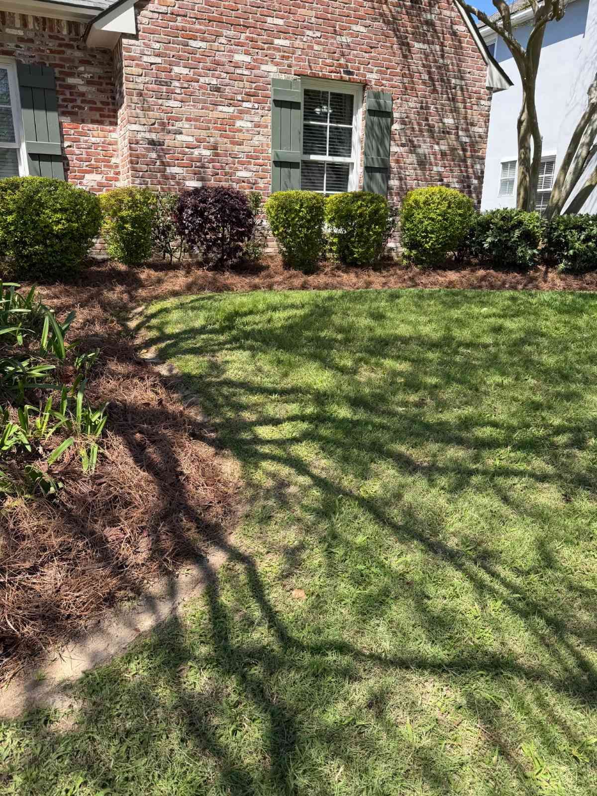 Flower Bed Maintenance