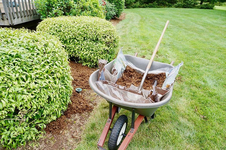 Lawn Maintenance