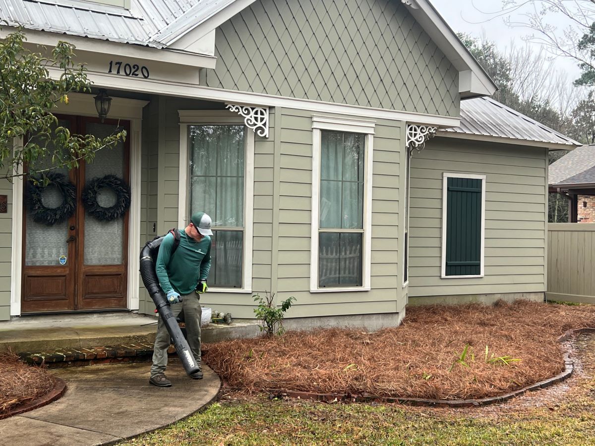 Leaf Cleanup