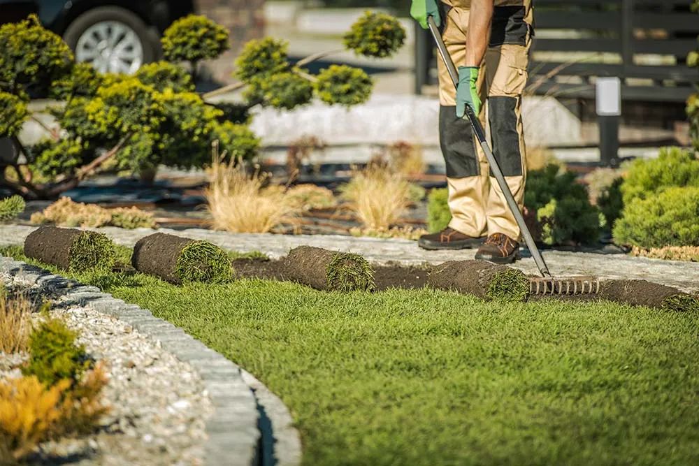 Sod Installs