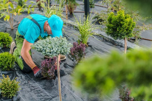 What Does a Landscaper Do?
