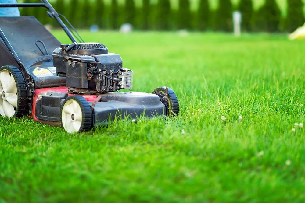 Lawn Mowing
