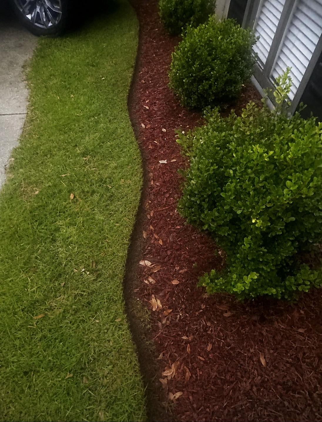 The same landscape bed after maintenance, with a cut edge, cleared bed and fresh mulch