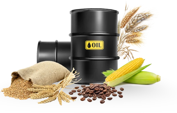 Naqdi Commodities