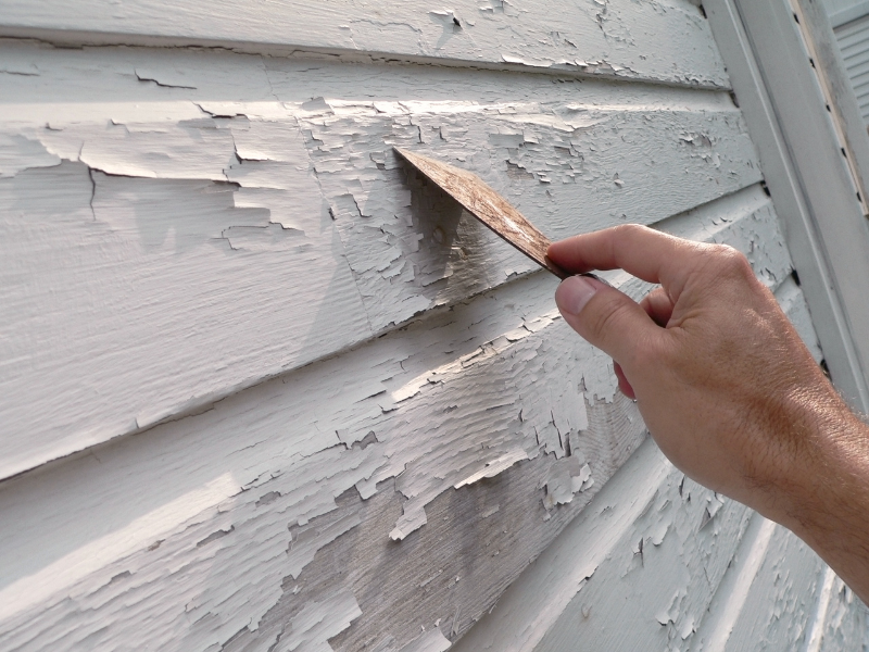 Lead Inspections/XRF Inspections